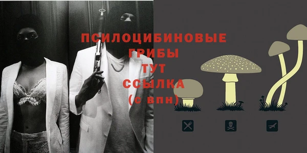 молекула духа Алексин
