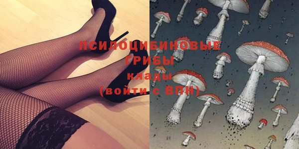 молекула духа Алексин