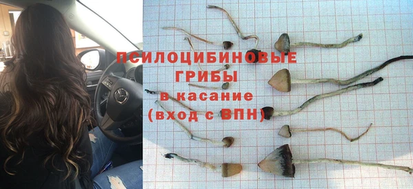 молекула духа Алексин
