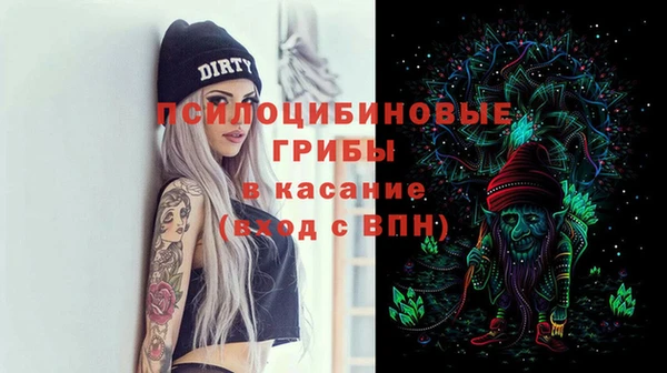 бошки Алексеевка