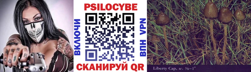 Галлюциногенные грибы Psilocybe  Нижний Новгород 