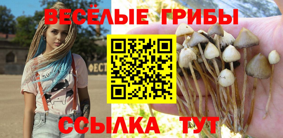 Галлюциногенные грибы мицелий  продажа наркотиков  Нижний Новгород  Вход с VPN 