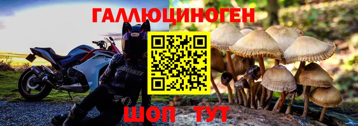 Галлюциногенные грибы GOLDEN TEACHER Нижний Новгород