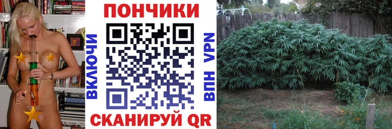 kraken онион Нижний Новгород Бошки Шишки Ganja